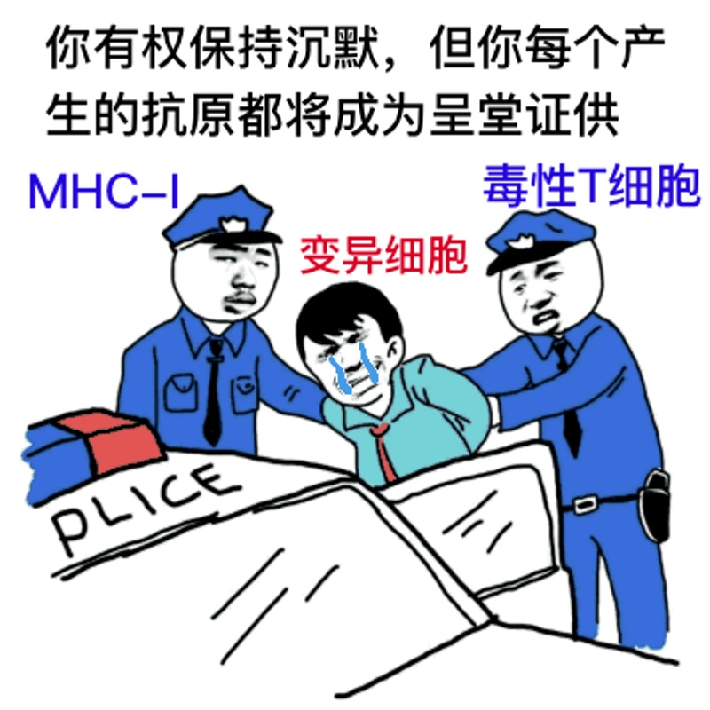 640wx_fmt=png&tp=webp&wxfrom=5&wx_lazy=1&wx_co=1 (1).jpg